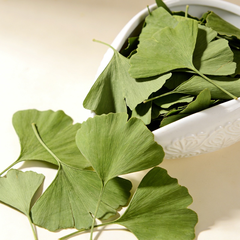 Jewelry Making 3 Year Old - Gedroogde Ginkgo Biloba bladeren van hoge