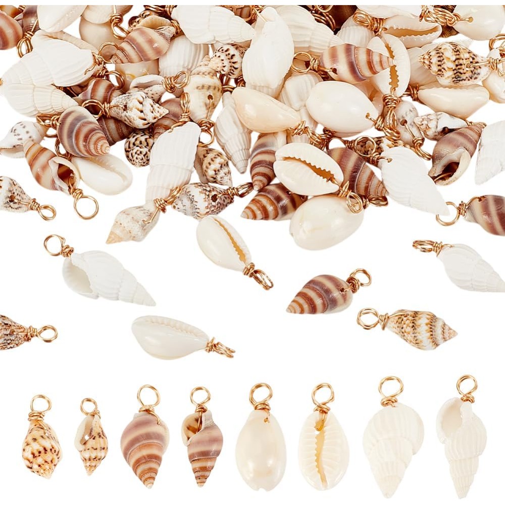 Jewelry Making Degree - 100 stks 4 Stijlen Natuurlijke Shell